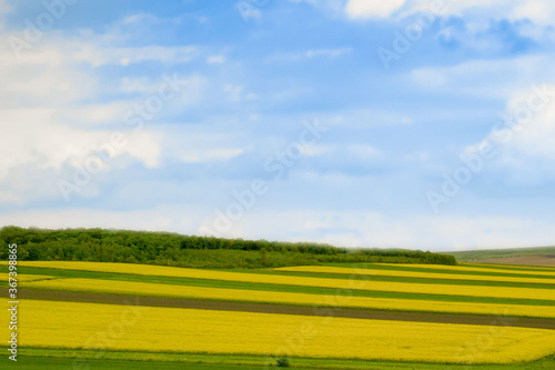 Cultivated field of yellow rapeseed against the blue sky