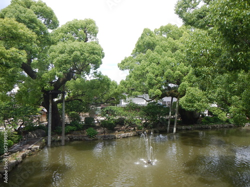 Japanischer Teich