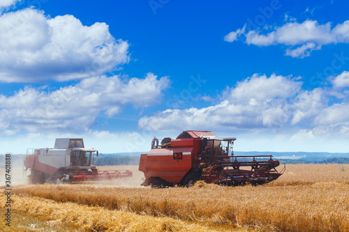 Two combine harvesters