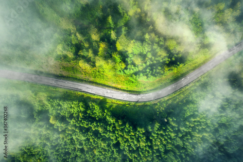 Aerial view of road in beautiful green forest in low clouds at sunset in summer. Colorful landscape with roadway in fog, pine trees in Carpatian mountains. Top view of highway. Travel in Ukraine © den-belitsky