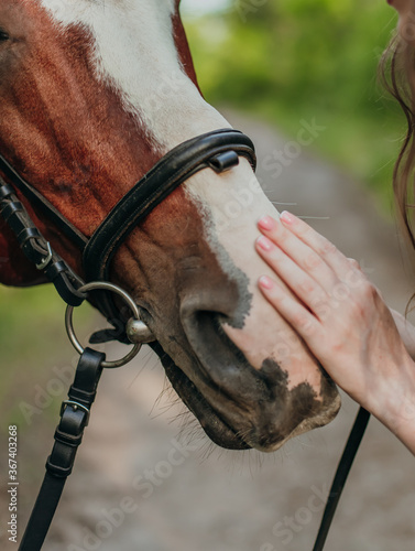 Girl is holding a hand on the head of a brown horse.