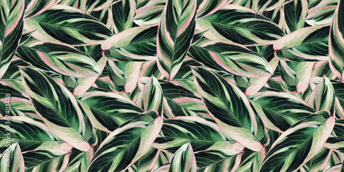 Fototapeta Naklejka Na Ścianę i Meble -  Watercolor painting colorful tropical green,pink leaves seamless pattern background.Watercolor hand drawn illustration tropical exotic leaf prints for wallpaper,textile Hawaii aloha summer style.