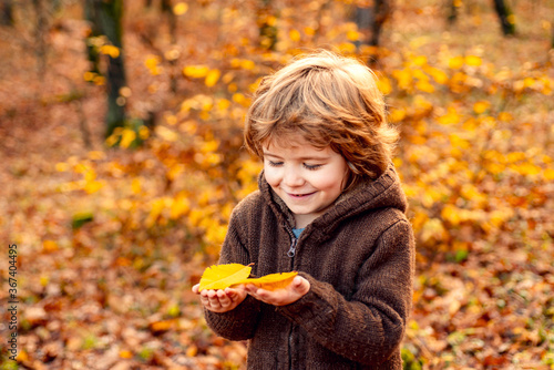 Autumn portrait of cute little boy. Happy kids playing and dreams outdoors in autumn.
