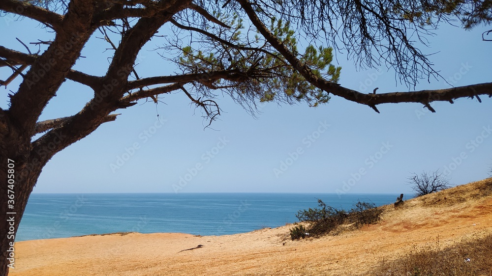Bellissimo Paesaggio sul mare in Algarve
