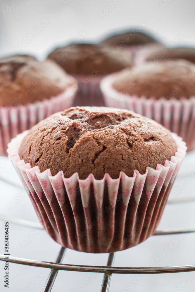 Home-baked chocolate muffins in muffin tray on cooling grid Home-baked chocolate muffins in muffin tray on cooling grid