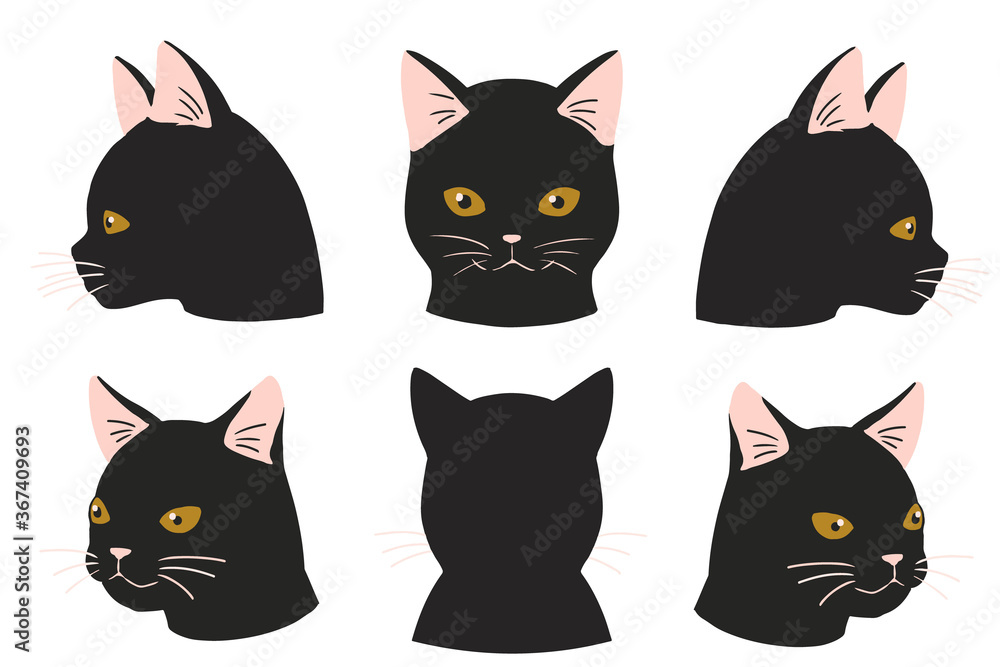 顔アップネコ　黒猫(線無し)