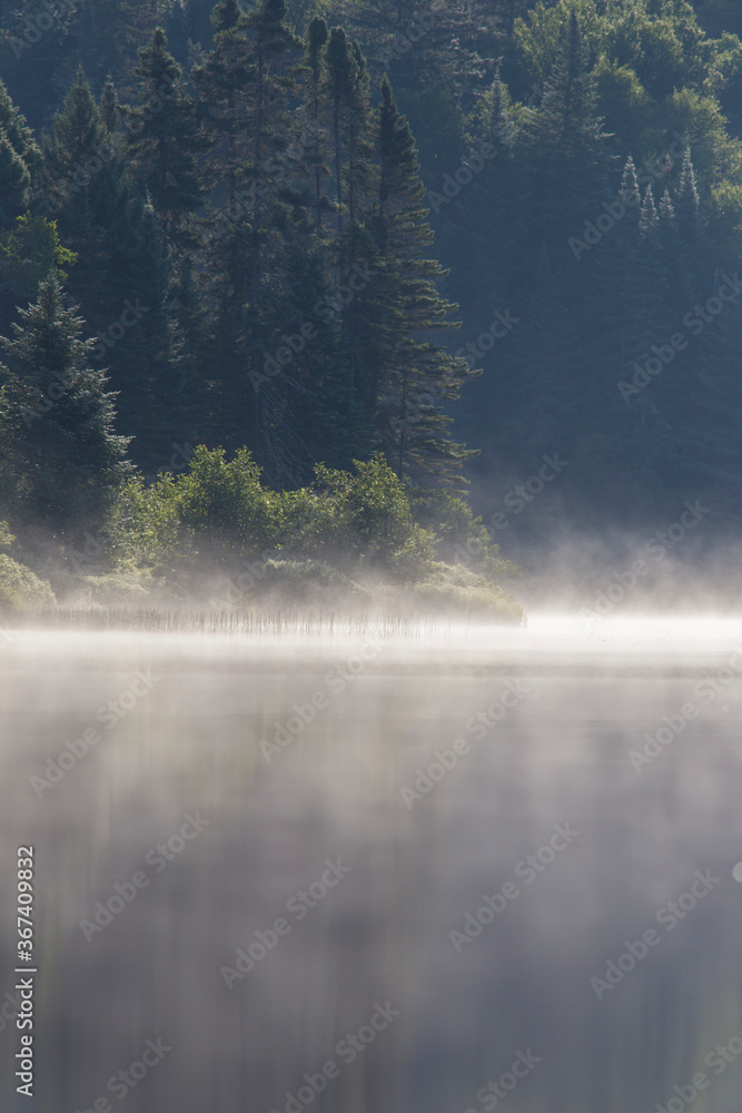 Misty Morning in Mont Tremblant National Park-Canada Misty Morning in Mont Tremblant National Park-Canada