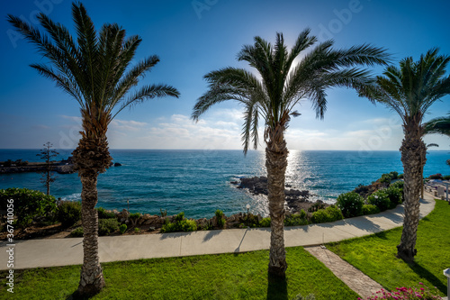 Fototapeta Naklejka Na Ścianę i Meble -  palm trees on the beach in paphos cyprus with walkpath and green grass