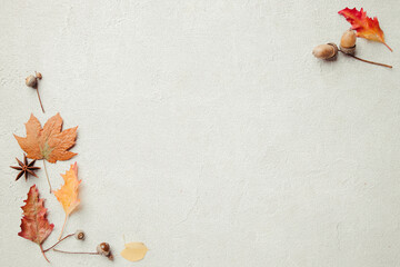 Autumn vibes. Composition of dried leaves on concrete background. Fall, thanksgiving day, seasonal sale concept. Flat lay, top view, copy space