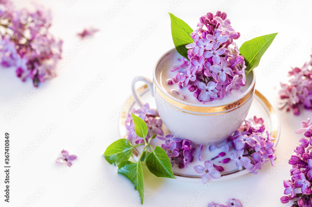 Creative lilac flowers in milk water. Beauty and wellness treatments with flower petals in bath. Summer concept of freshness, purity, tenderness, youth. Creative lilac flowers in milk water. Beauty and wellness treatments with flower petals in bath. Summer concept of freshness, purity, tenderness, youth.