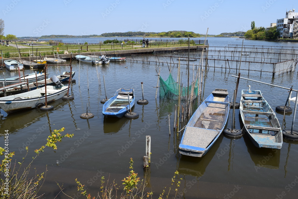 Fototapeta premium 牛久沼（うしくぬま）／ 茨城県の牛久沼は小規模な漁業のほか、その水は主に農業用水として活用されています。また、週末などは多くの釣り人たちで賑わっています。沼に近い牛久市と同じ名前ですが、全域が龍ケ崎市の区域内です。