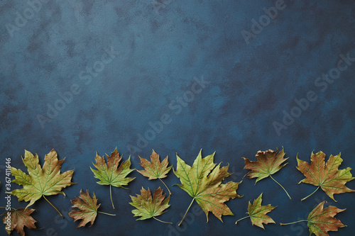 Autumn floral design greeting card. Fall yellow leaves on dark surface. Thanksgiving day, seasonal concept. Copy space.