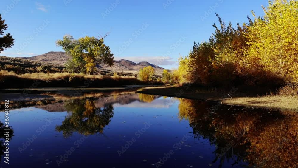 Flying Low Over the Truckee River Near Reno Nevada with Fall Color Flying Low Over the Truckee River Near Reno Nevada with Fall Color