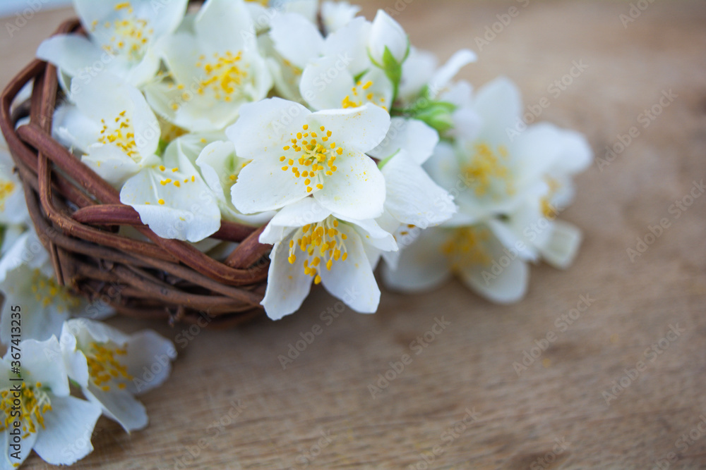 White jasmine flowers, traditional green tea ingredient, aromatherapy flavor White jasmine flowers, traditional green tea ingredient, aromatherapy flavor