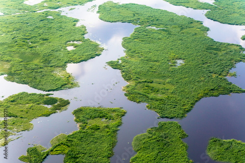 Mangrove, Kinshasa, DRCongo photo