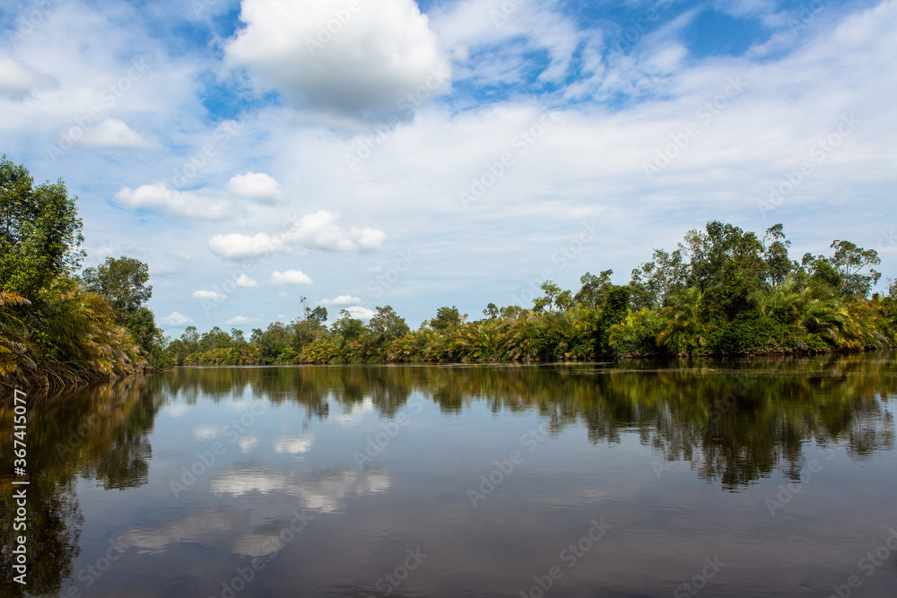 Fleuve Congo, Parc des Mangroves, Moanda, DRCongo