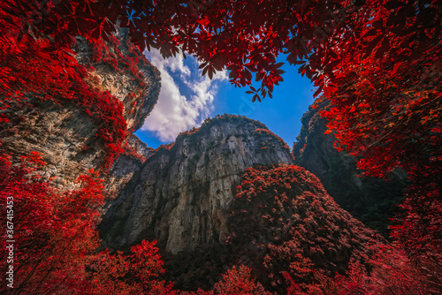 Obraz na płótnie Massive vertical rock walls in Wulong National Park in autumn w salonie