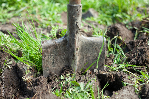 The shovel is stuck in the ground.