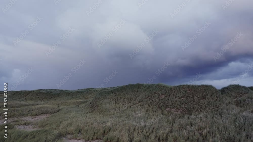 Grass Swaying with the Strong Winds on an Endless Horizon and Cloudy Sky Grass Swaying with the Strong Winds on an Endless Horizon and Cloudy Sky