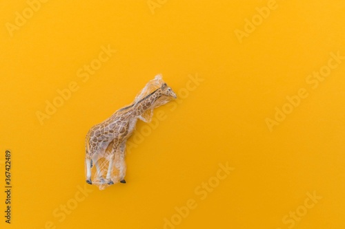 Giraffe is entangled in a plastic bag. Plastic animal concept.