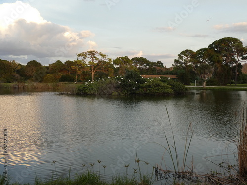 Tropical island aviary in middle of lake with seabirds roosting