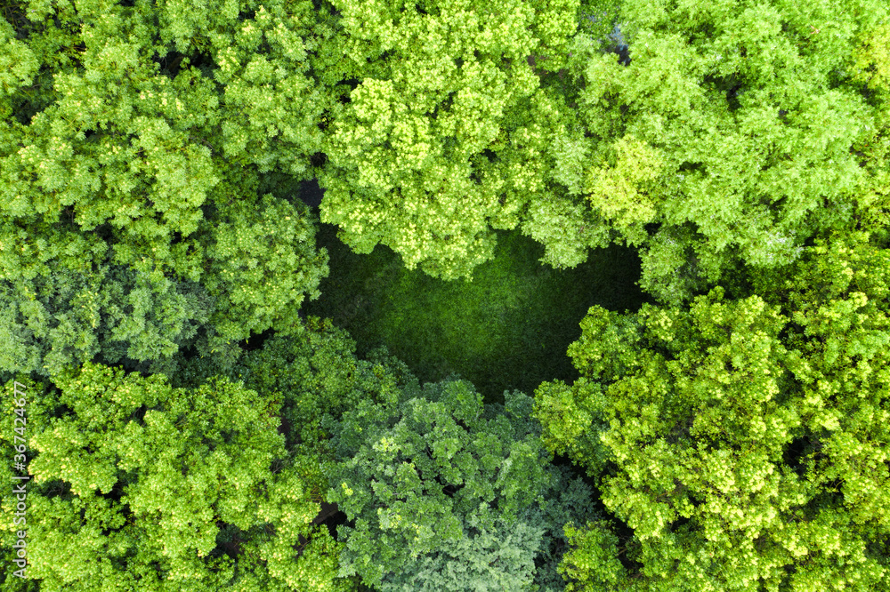 Aerial of green trees with crescent interval field.