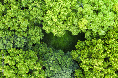 Aerial of green trees with crescent interval field.