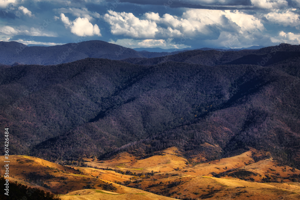 Obraz premium Rolling Hills