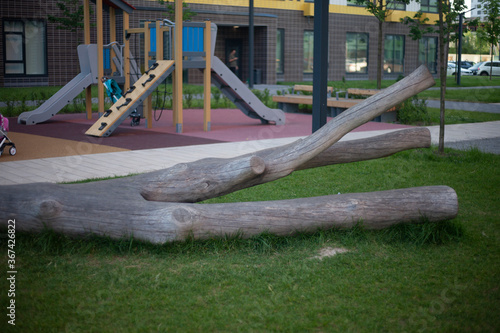 Dry tree in the playground. 