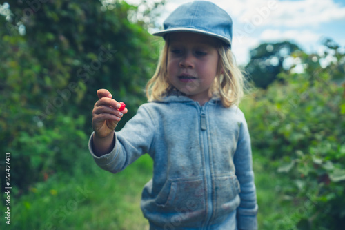 Preschooler weith berries on fruit farm photo