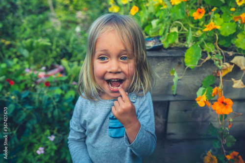 Preschooler picking an eating edible flowers