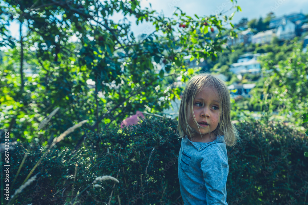 Little preschooler standing by a hedge Little preschooler standing by a hedge