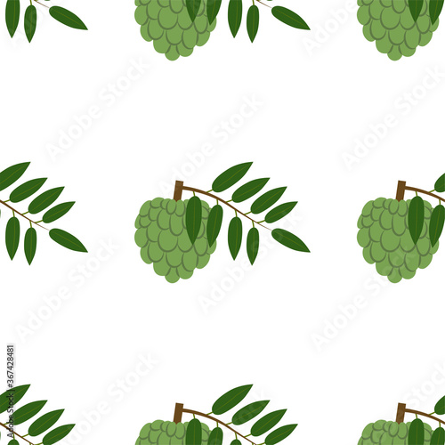 Annona, Sugar Apple. Seamless Vector Patterns