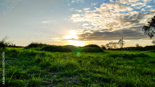 sunset over the field