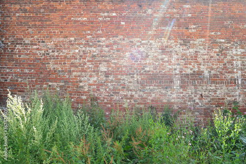 Large damaged old red brick wall and green grass in front of it.