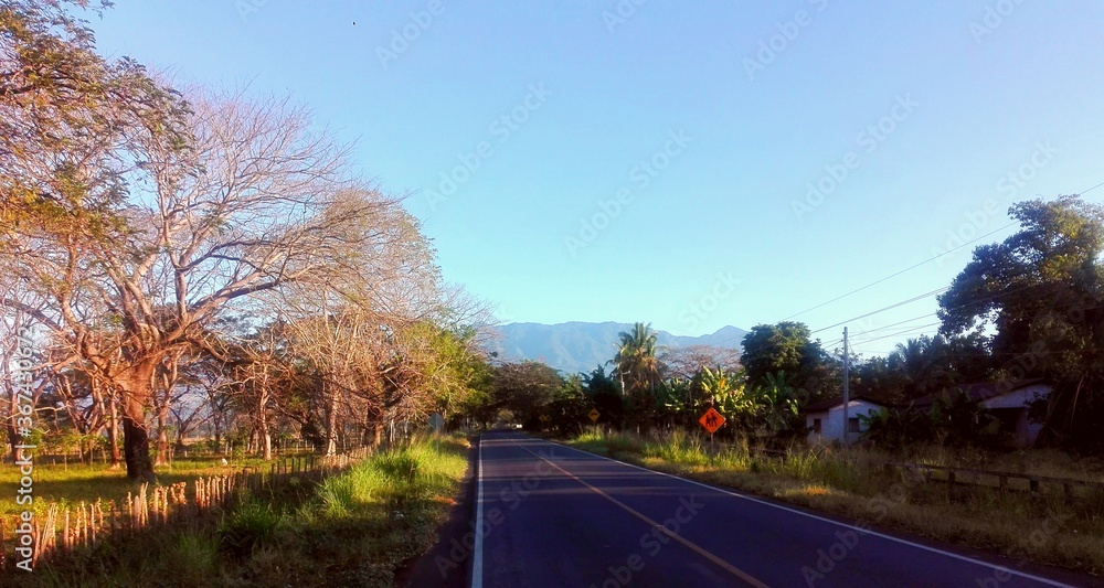 Fototapeta premium Photography