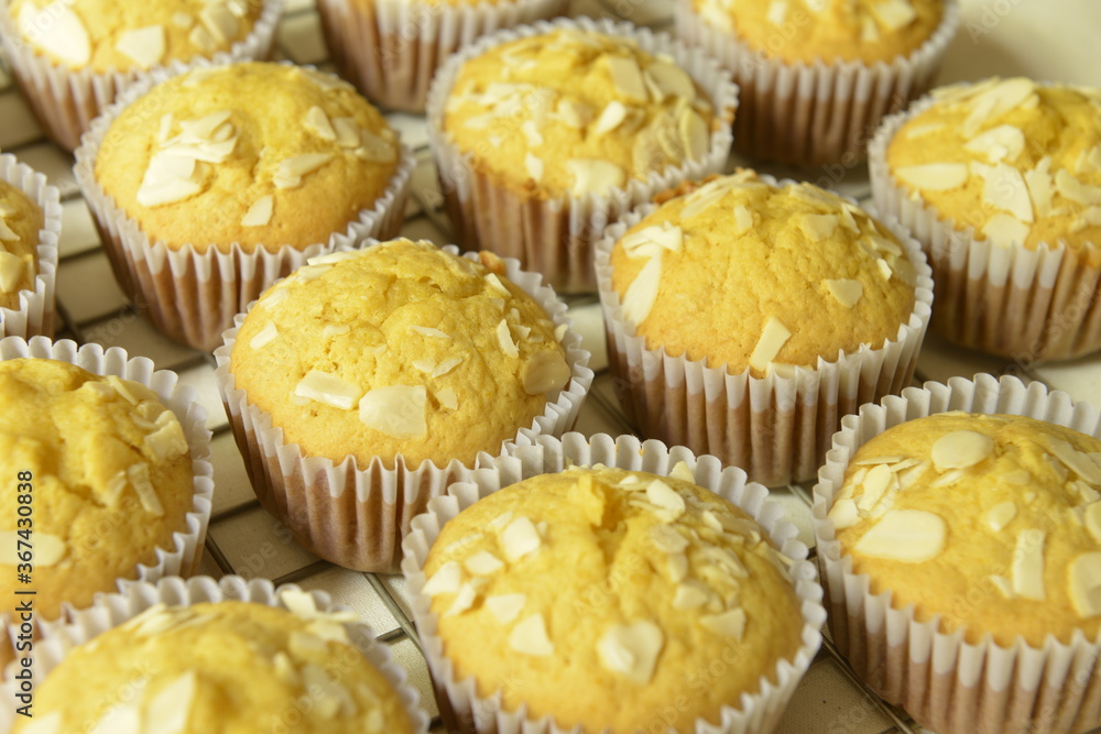 Fresh Homemade Pumpkin Cake on cooling rack Fresh Homemade Pumpkin Cake on cooling rack