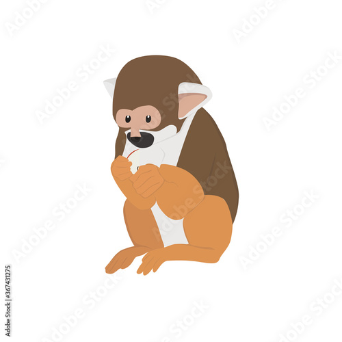 Squirrel Monkey Illustration