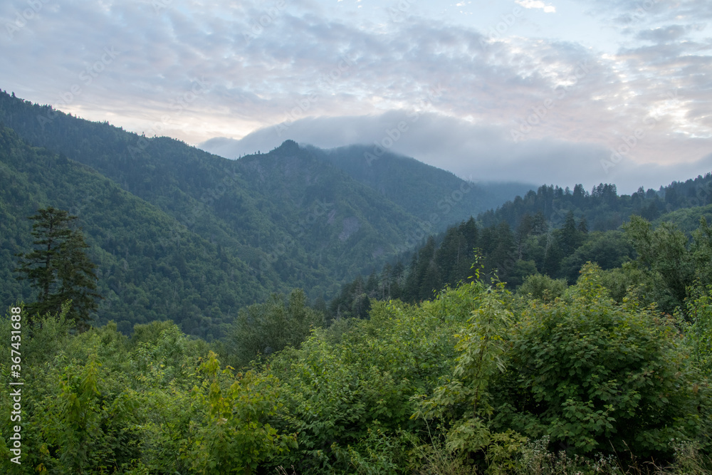 Es un paisaje de un hermoso lugar en el estado de Tennesse Great Smoky Mountains, United States 