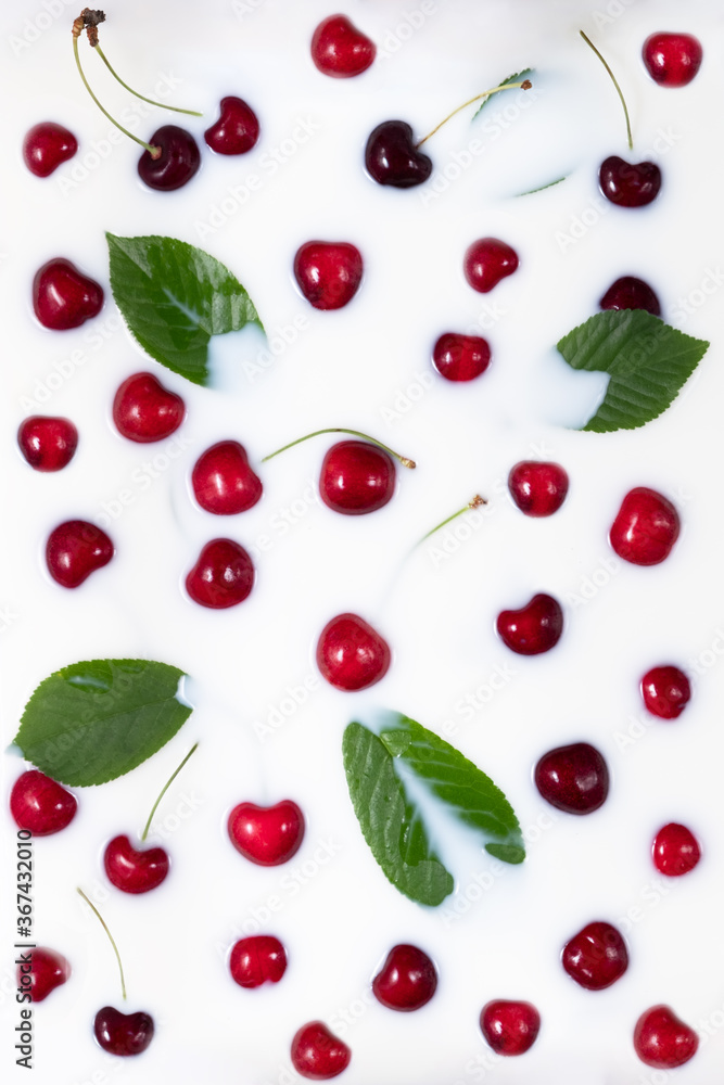Ripe red fruits and cherry leaves float in the milk bath. Place for logo or text. Self-care concept using natural products and cosmetics Ripe red fruits and cherry leaves float in the milk bath. Place for logo or text. Self-care concept using natural products and cosmetics