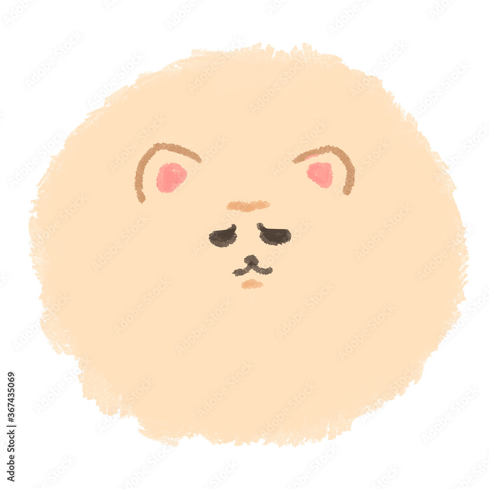 ふてくされたポメラニアン Stock Illustration Adobe Stock