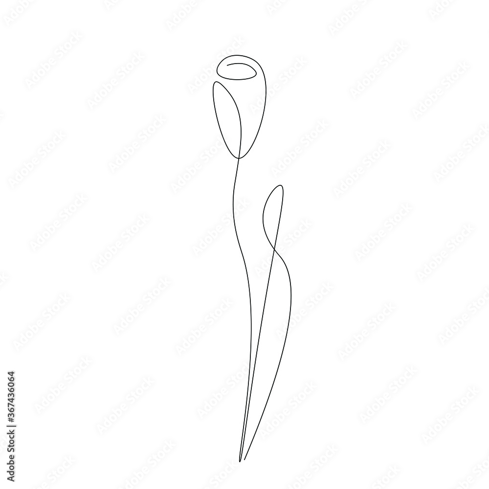 Summer flower line drawing. Vector illustration Summer flower line drawing. Vector illustration