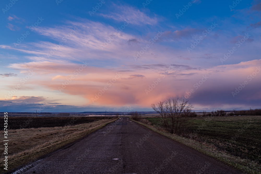 Fototapeta premium summer