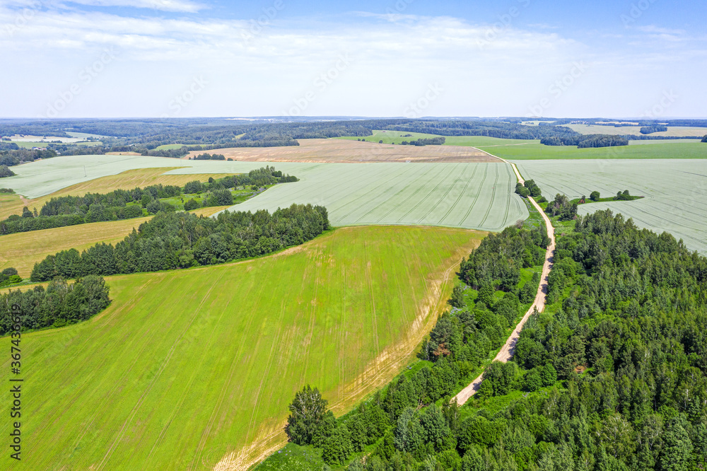 Obraz premium rural dirt road through green fields and forest. summer countryside landscape. aerial view from flying drone
