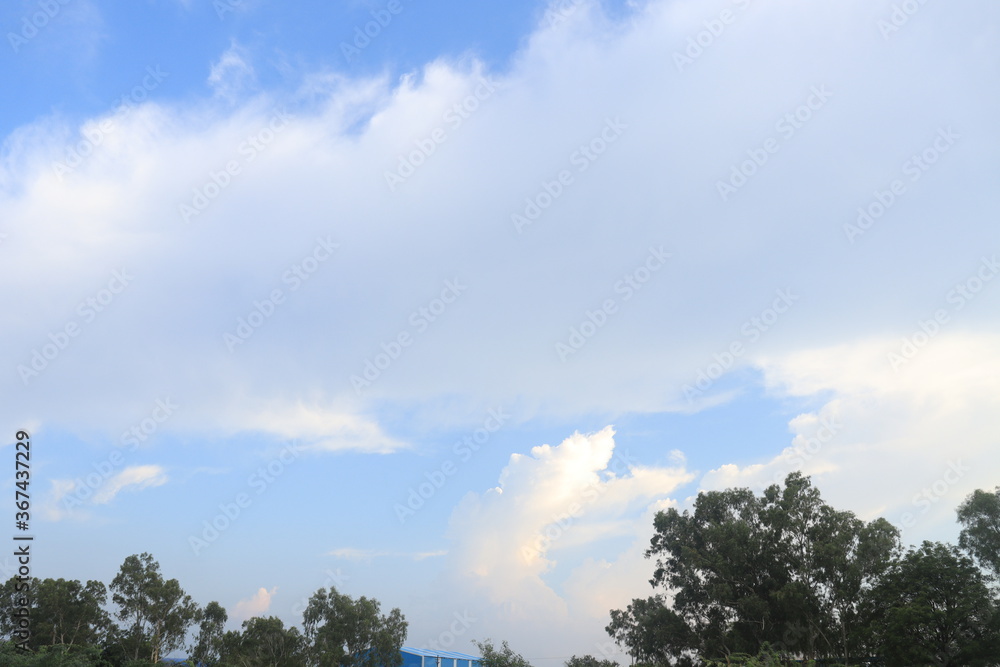 Fototapeta premium Beautiful Clear Water Vapour clouds and tree in the blue sky background