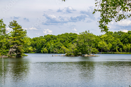 The water reflects the trees