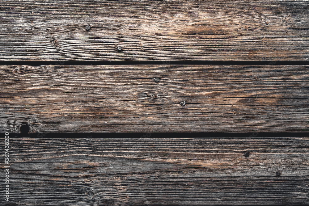 Fototapeta premium texture of bark wood use as natural background