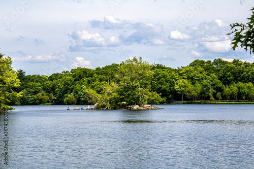 Peaceful moment at the lake