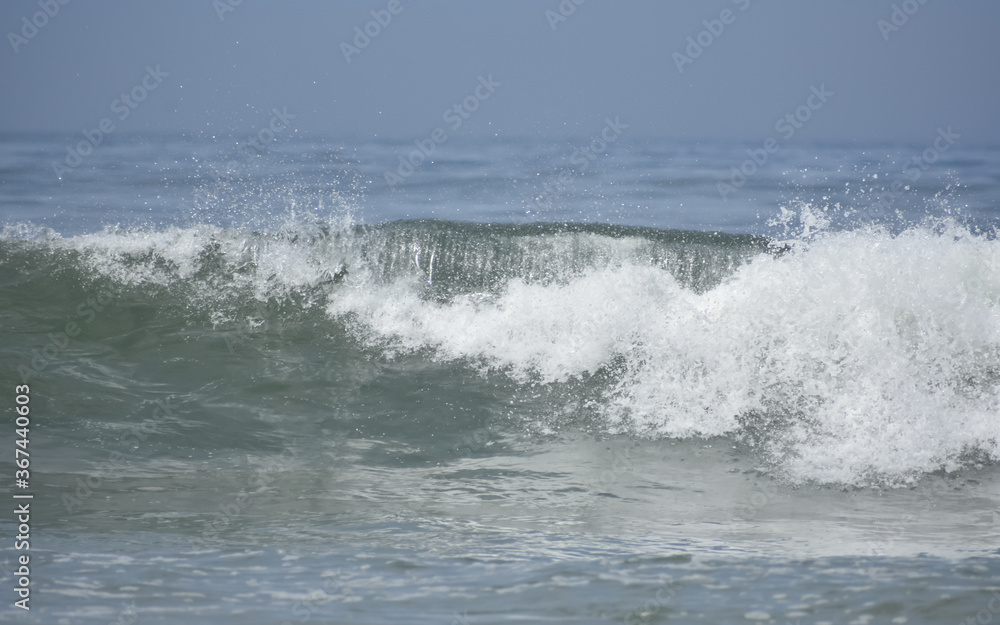 Ocean barrel wave forming as it breaks and rolls towards shore.