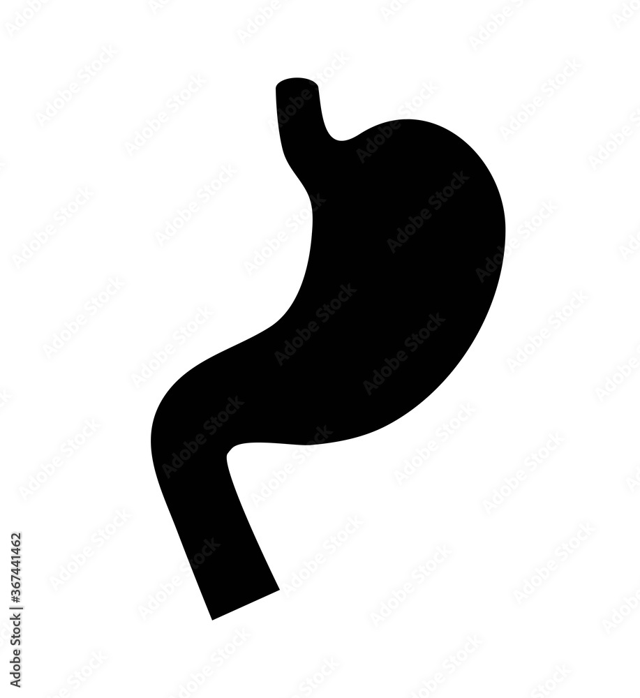 Stomach icon silhouette on white background. Internal organ without details Stomach icon silhouette on white background. Internal organ without details